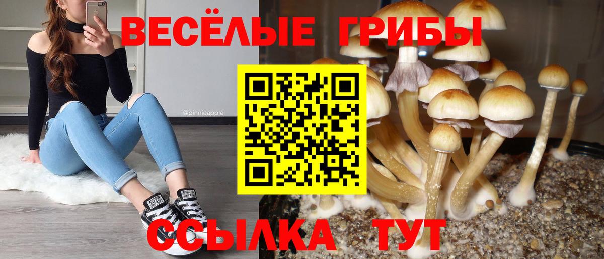 Псилоцибиновые грибы ЛСД Красноярск