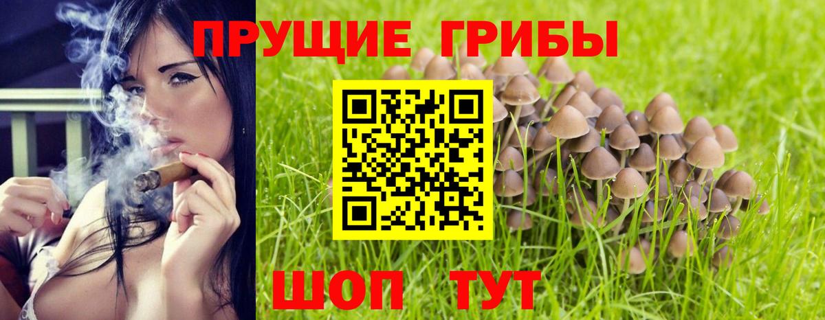 цены наркотик  Вход с VPN  Красноярск  Псилоцибиновые грибы Psilocybe 